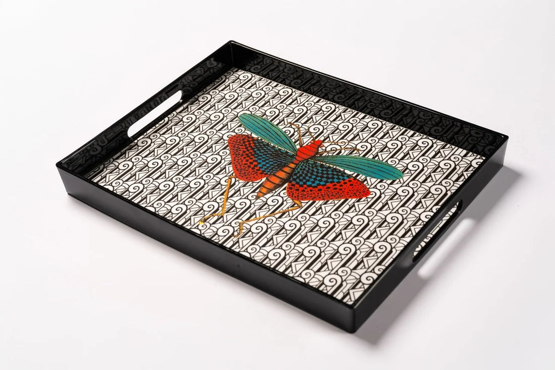 Insect 2 Tray