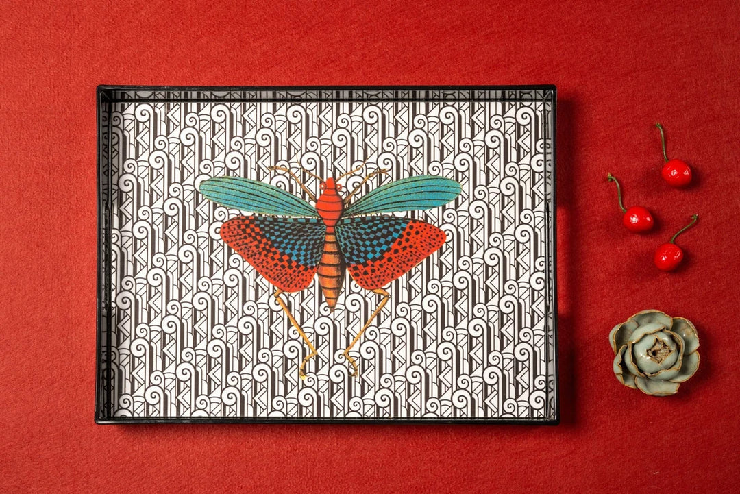 Insect 2 Tray