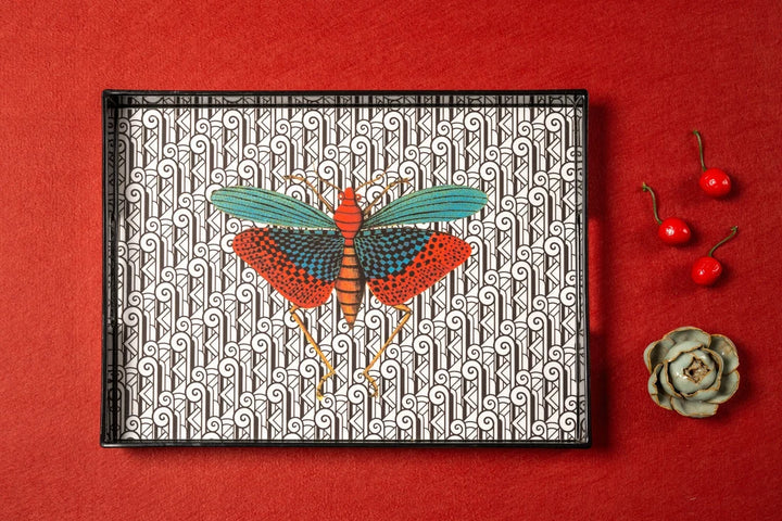 Insect 2 Tray
