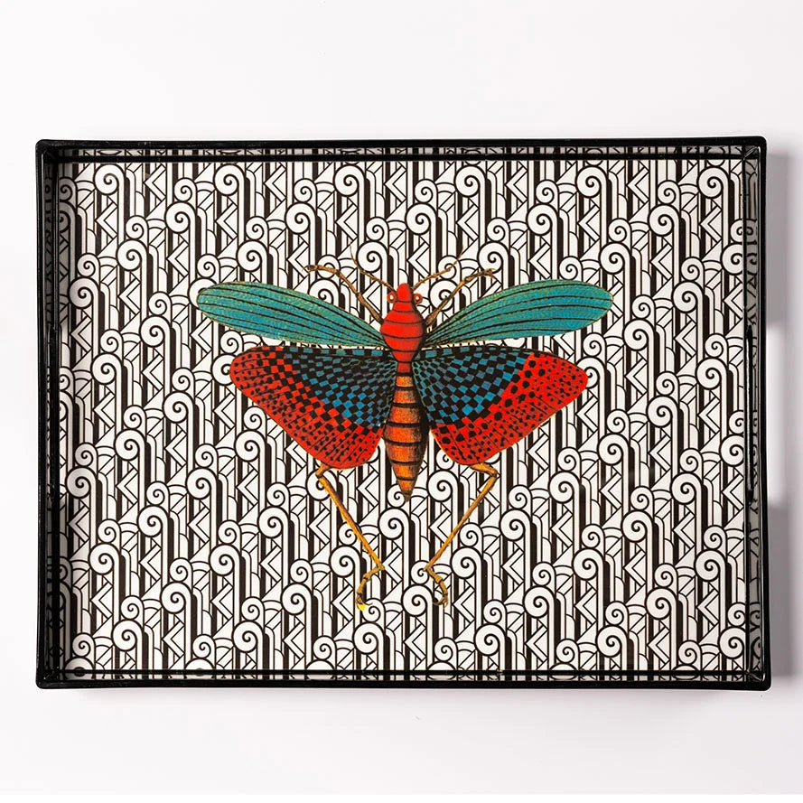 Insect 2 Tray