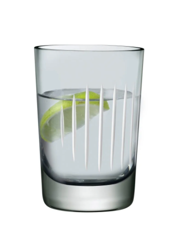 Parrot Water Glasses -Set of 2