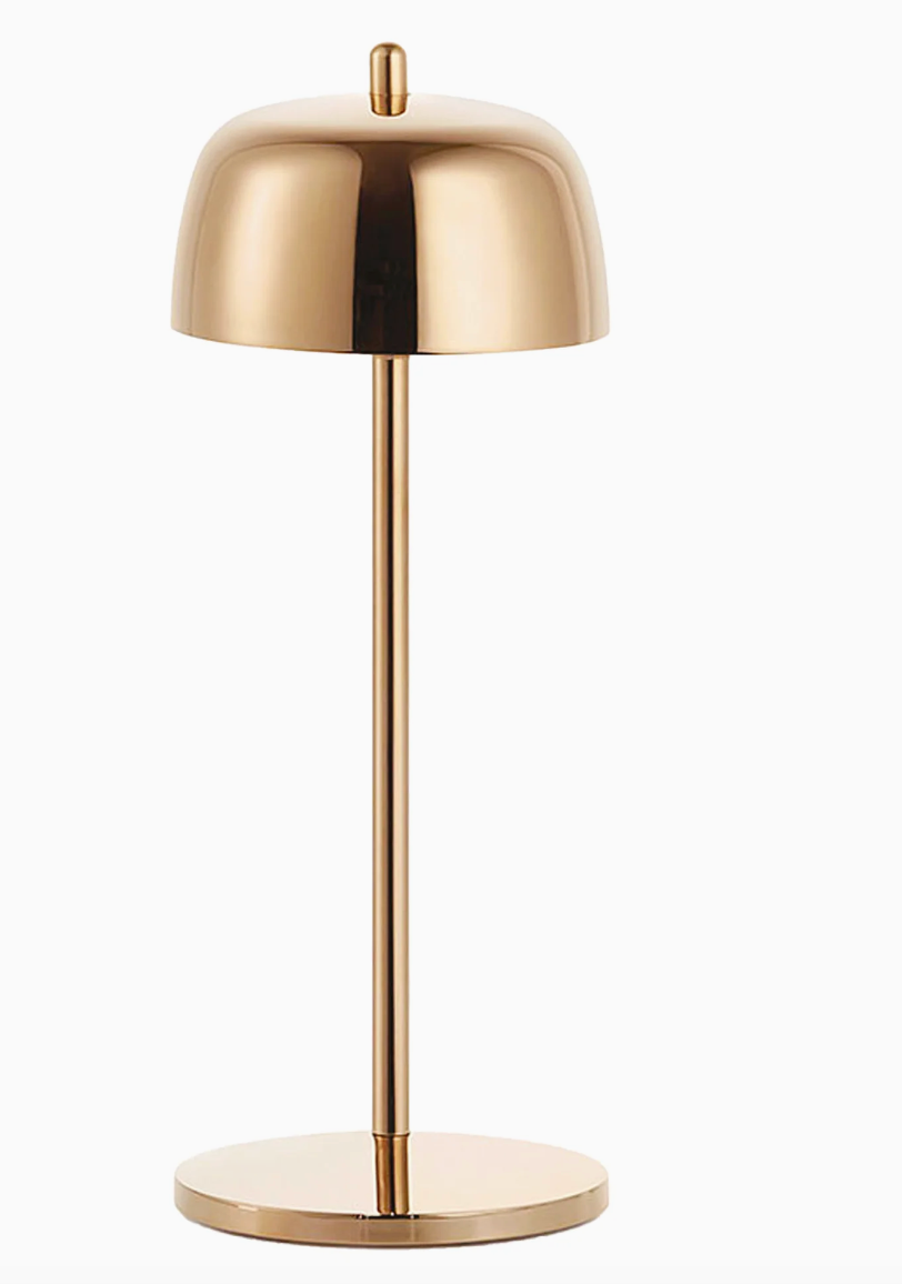 Theta Pro Lamp