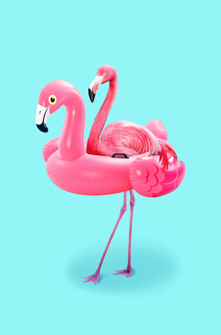 Artem Pozdniakov - Flamingo on Resort