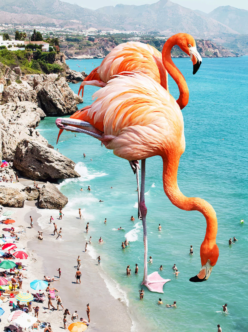83 Oranges - Flamingos On The Beach