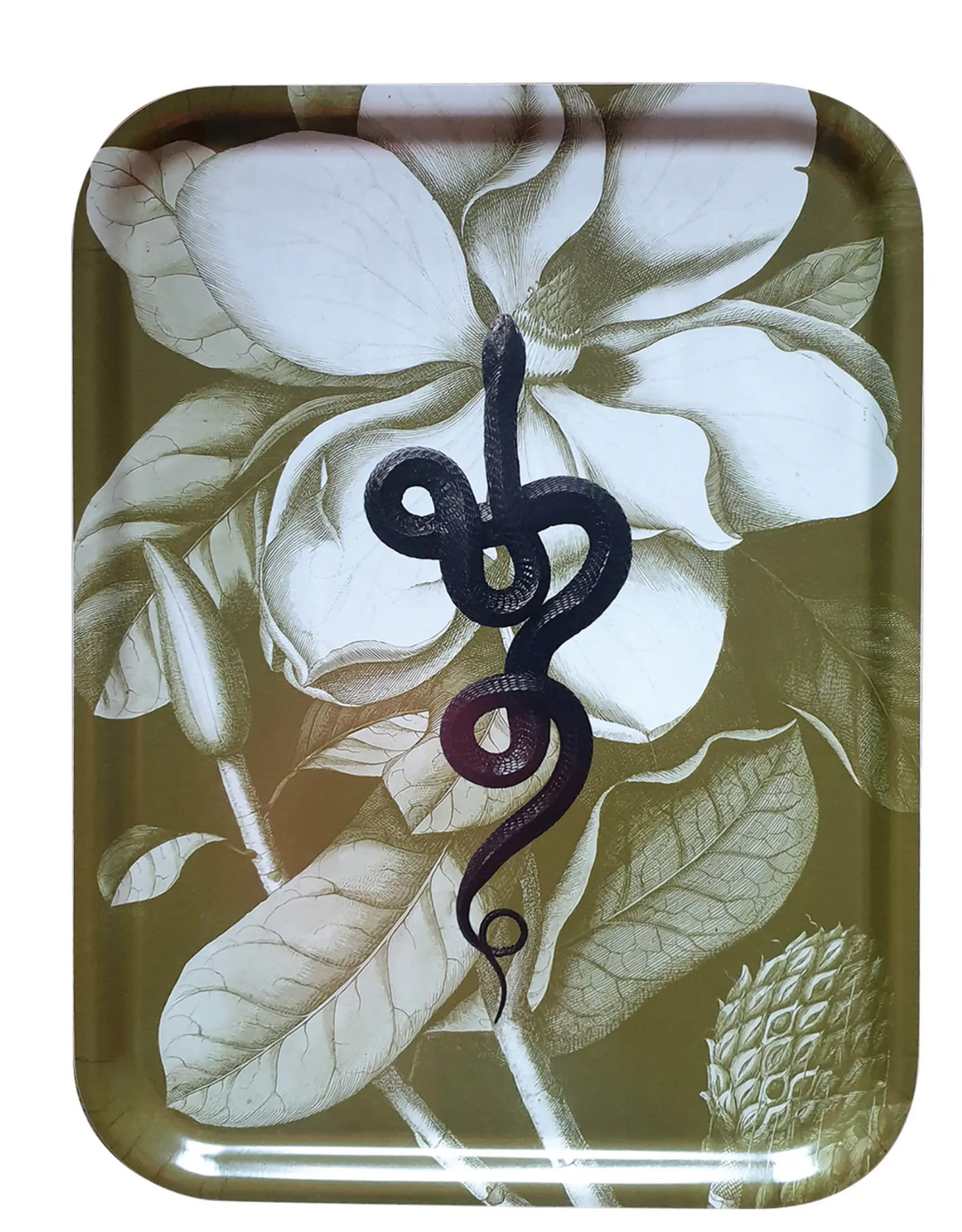 Wooden Tray - Snake Collection-Green