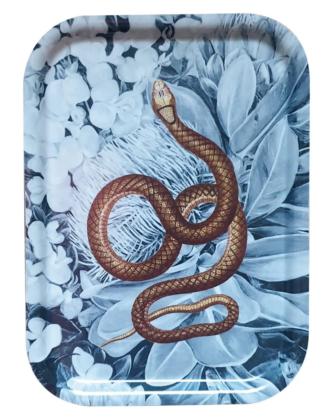 Wooden Tray - Snake Collection/Blue