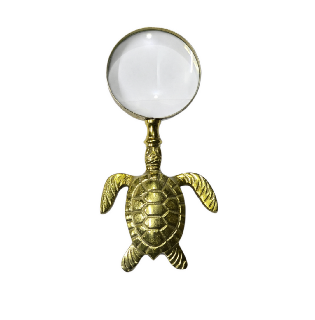 Magnifying glass – Turtle