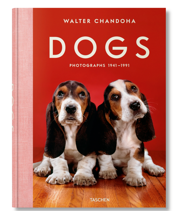 Walter Chandoha. Dogs. Photographs 1941–1991