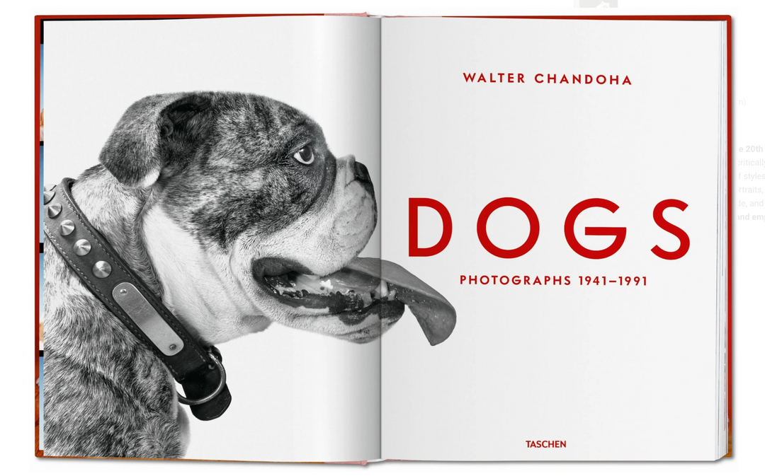 Walter Chandoha. Dogs. Photographs 1941–1991