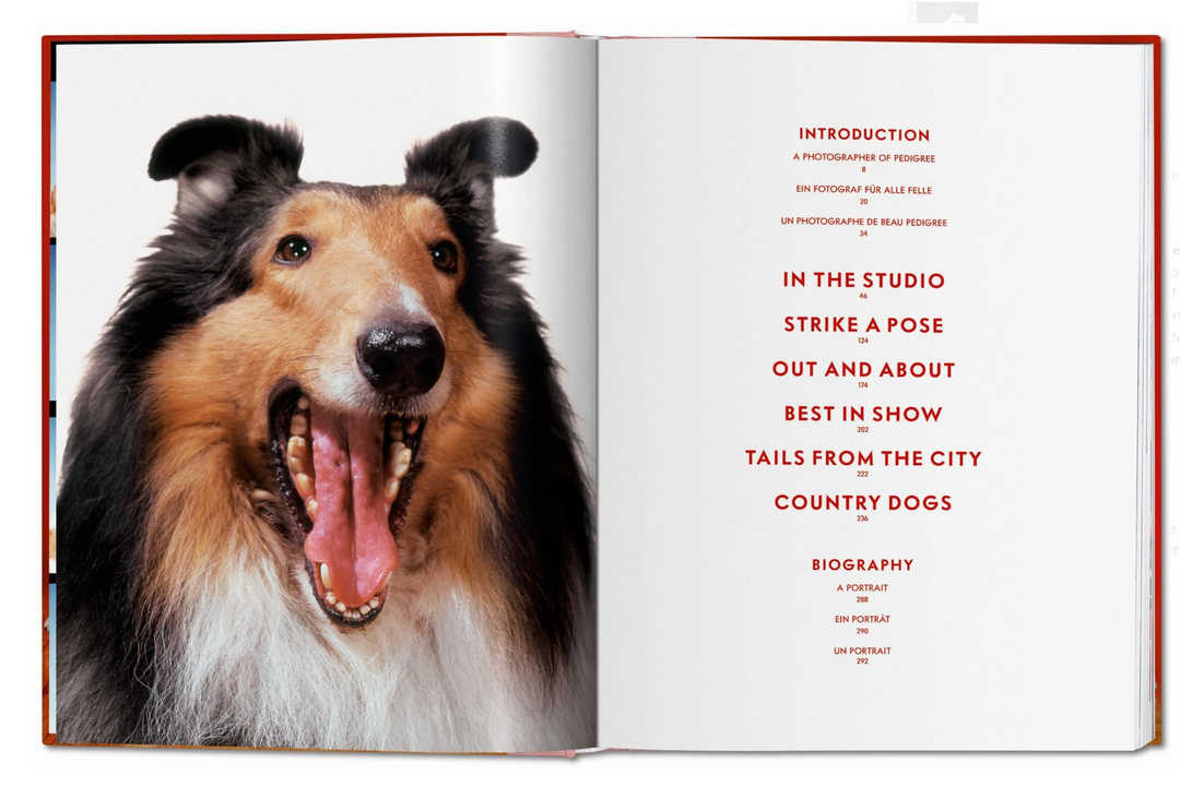 Walter Chandoha. Dogs. Photographs 1941–1991