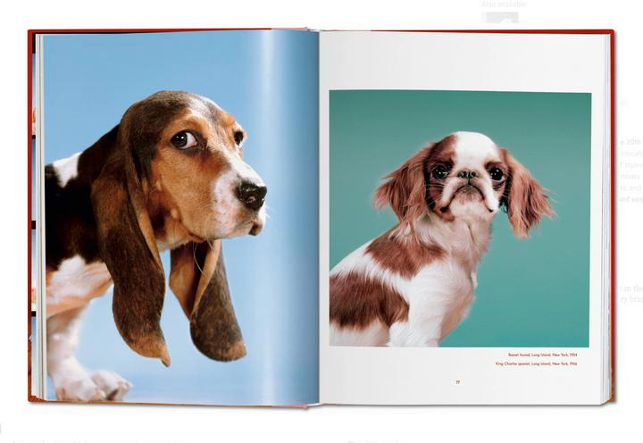 Walter Chandoha. Dogs. Photographs 1941–1991