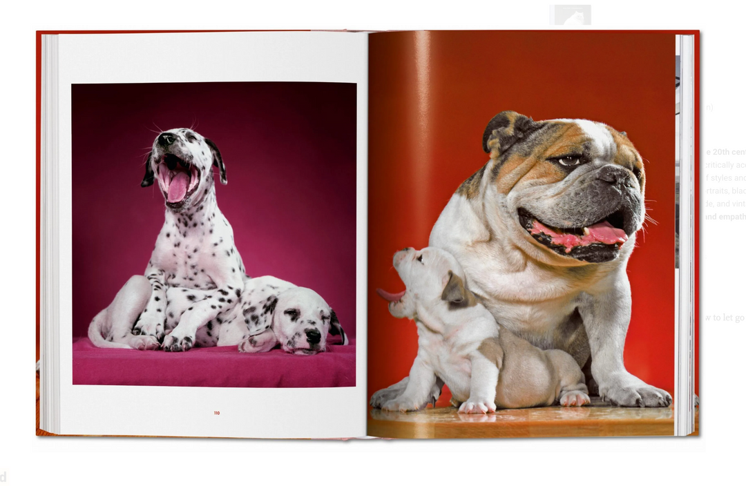 Walter Chandoha. Dogs. Photographs 1941–1991
