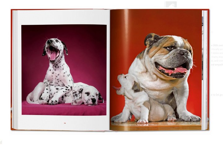 Walter Chandoha. Dogs. Photographs 1941–1991