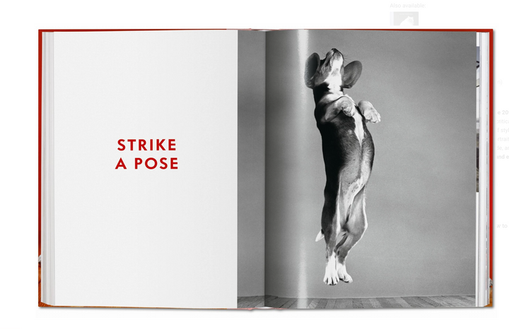 Walter Chandoha. Dogs. Photographs 1941–1991