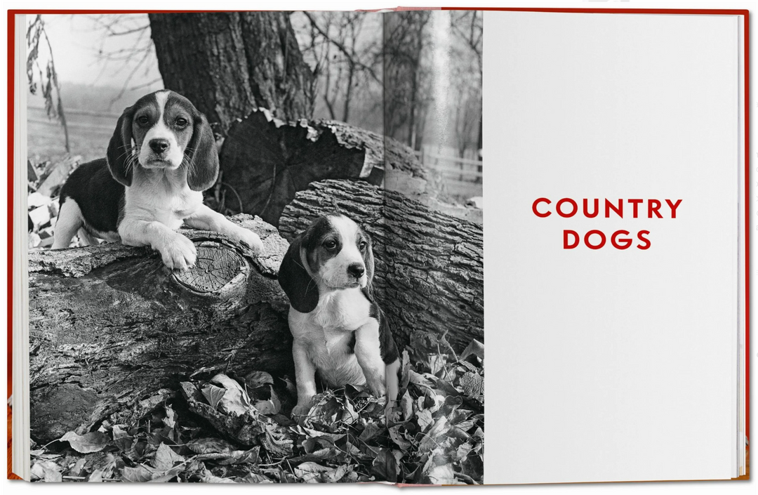Walter Chandoha. Dogs. Photographs 1941–1991