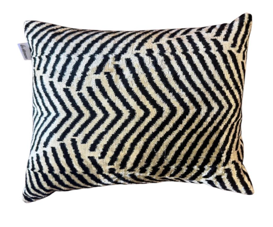 Silk Velvet Cushion Pillowcase
