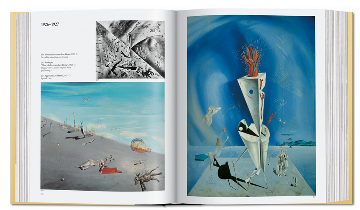 Dalí. The Paintings