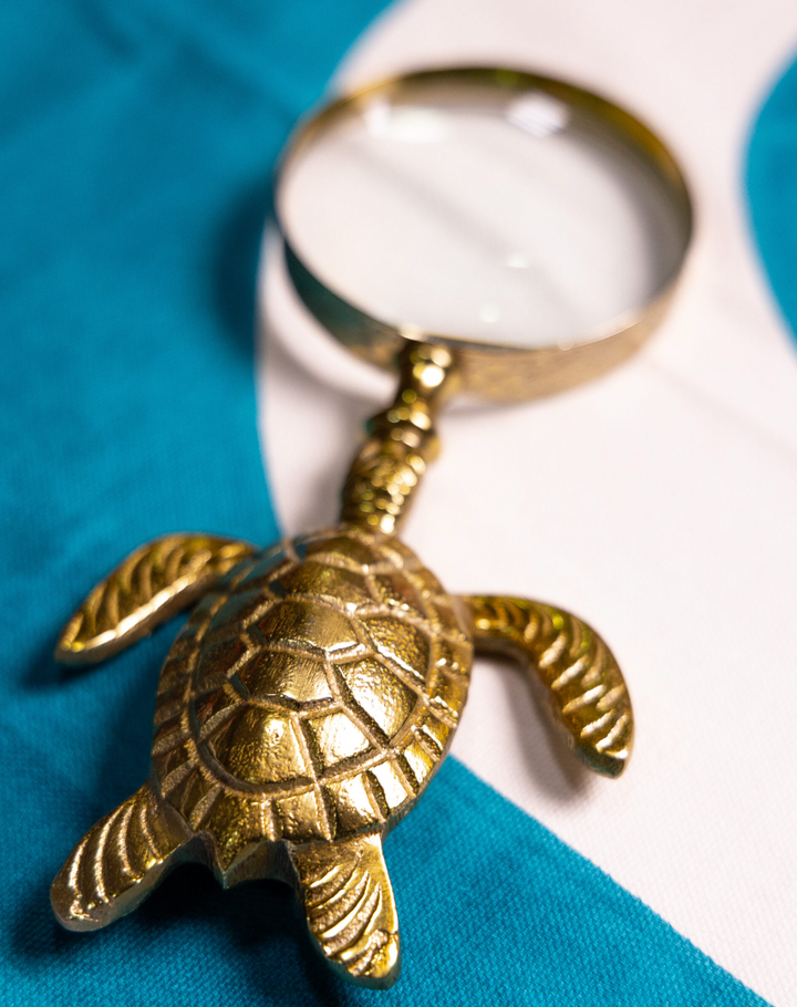 Magnifying glass – Turtle