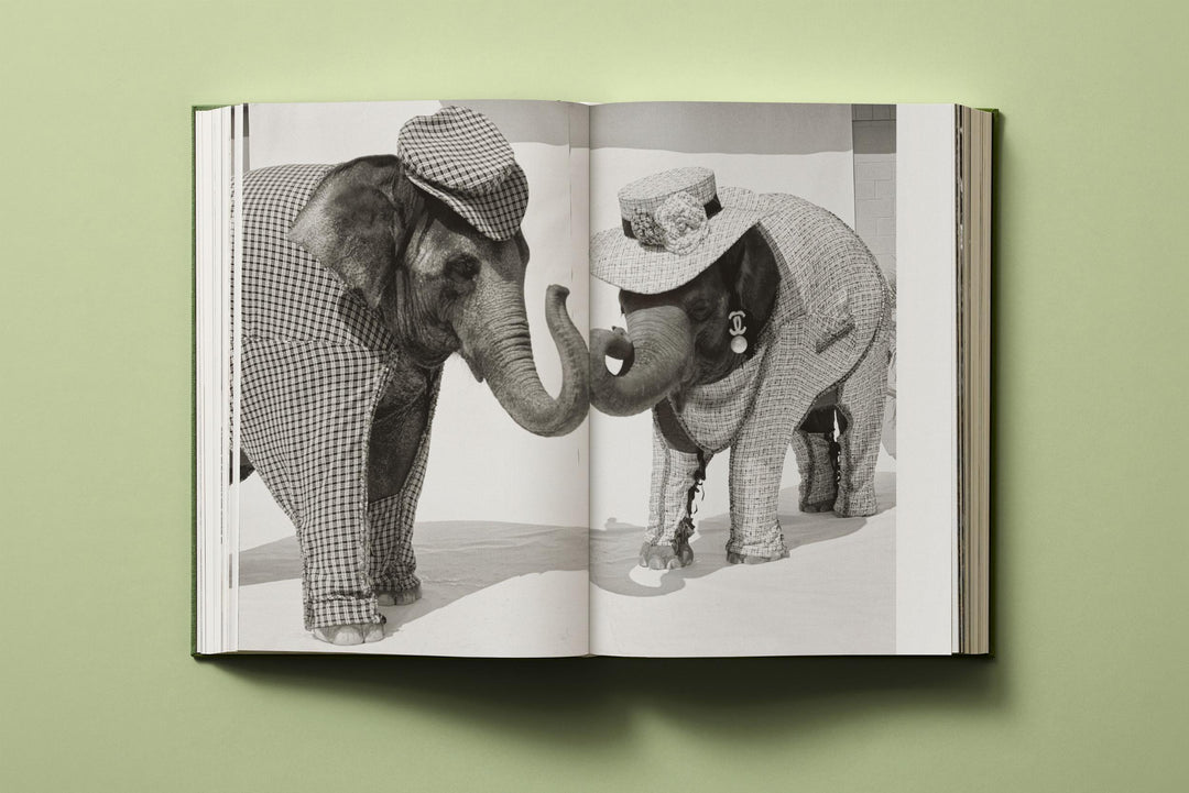 Bruce Weber. My Education